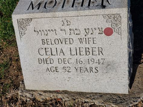 Celia (Solomon) Lieber (b. 1890s) 